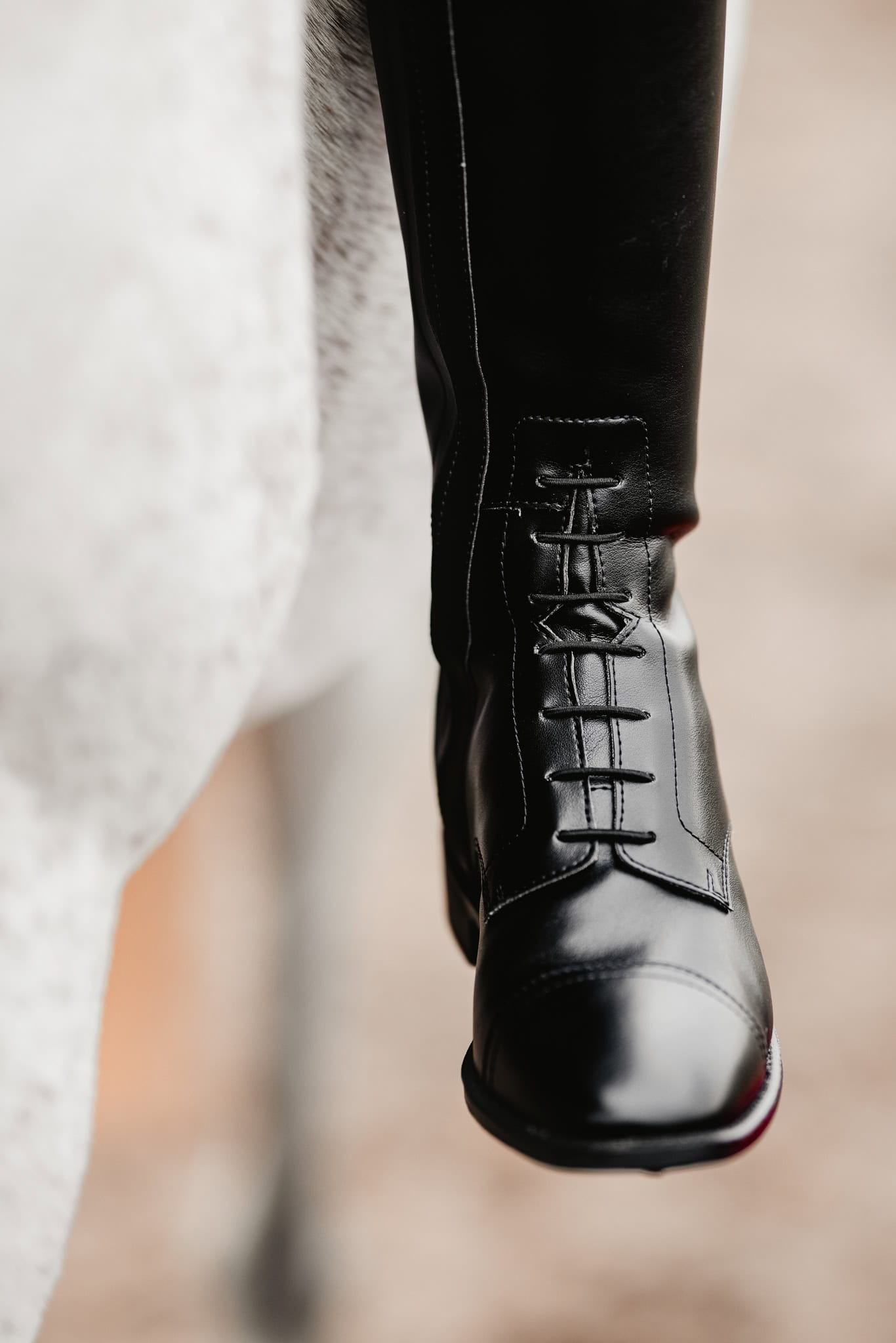 Karita tall riding boots best sale